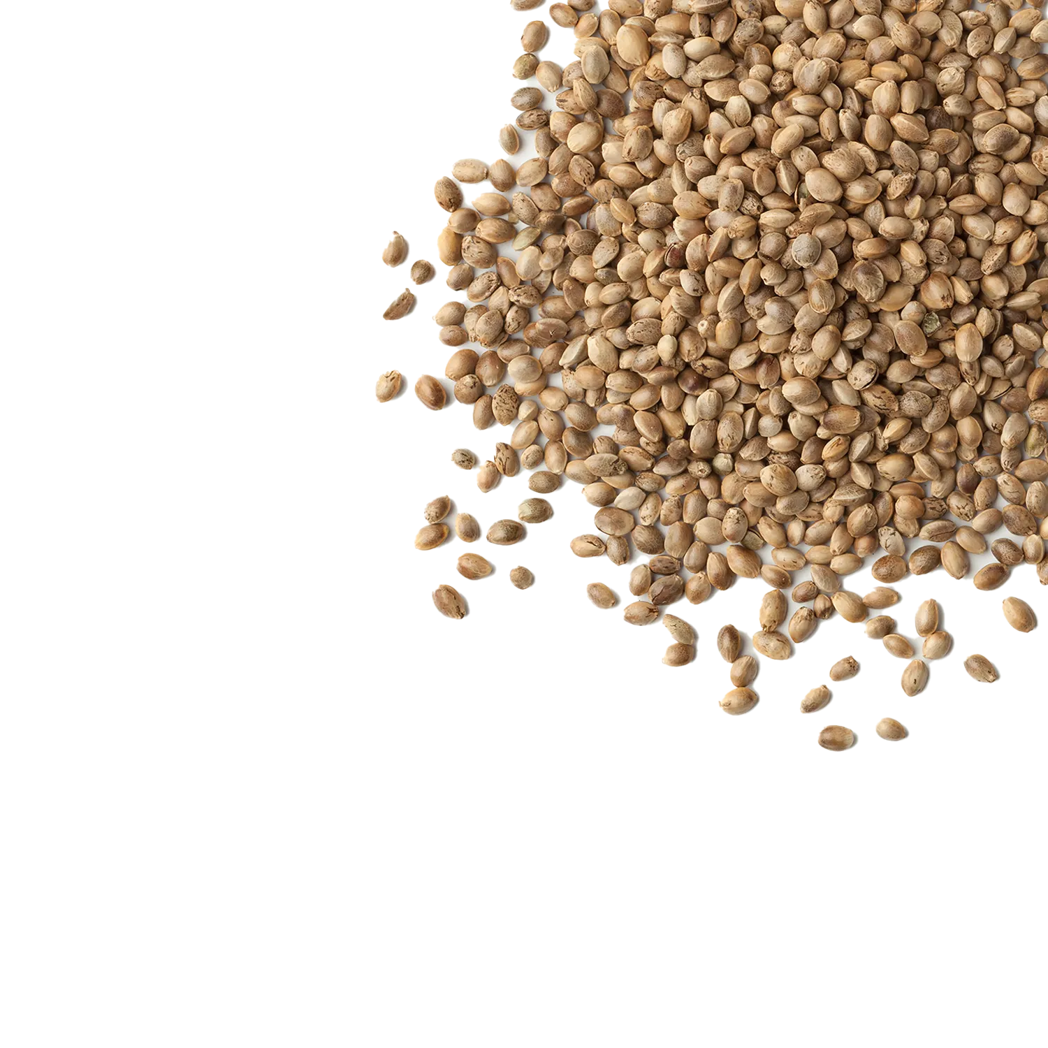 Hemp Boost